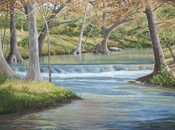 Sally Minter 1155 "Cypress Creek"