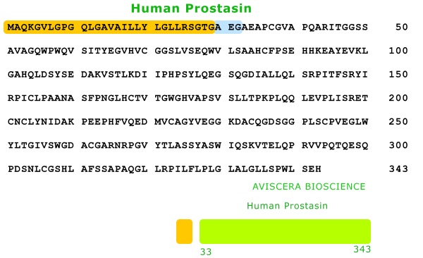human prostasin is a new biomarker for cancer