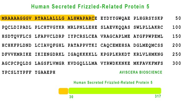 human sFRP-5