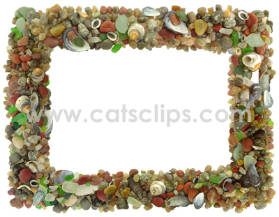 agates and shells border