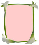 calla lilly pink border