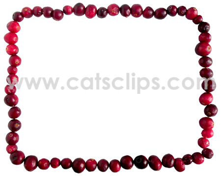 cranberry boder