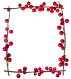 Holly Berries Border