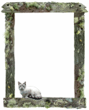 cat on fence animated border