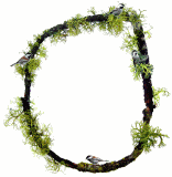 chickadee twig animated gif border