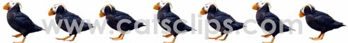 puffins dancing animated GIF border