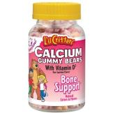 Bone support