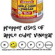 apple cider vinegar uses
