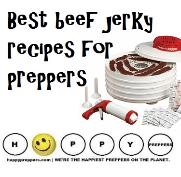 Best Beef Jerky Recipes