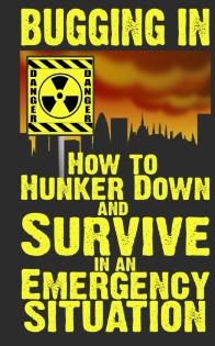Bugging in ~ hunker dow and survive an emergency situation