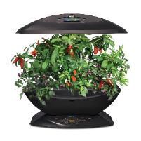 aero small scale hydroponic garden