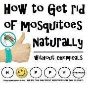 How to get rid of mosquitoes naturally (without chemicals)