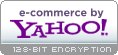 Yahoo Stores