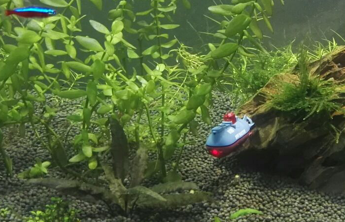 Best Water Toy, Aquarium & Pool Toy, RC Submarine Toy--(beach shovel toy, discus fish care, setting up a saltwater reef tank).