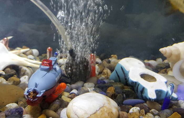 Best Water Toy, Aquarium & Pool Toy, RC Submarine Toy--(10 gallon fish, 60x24x24 aquarium, big w pool ring).