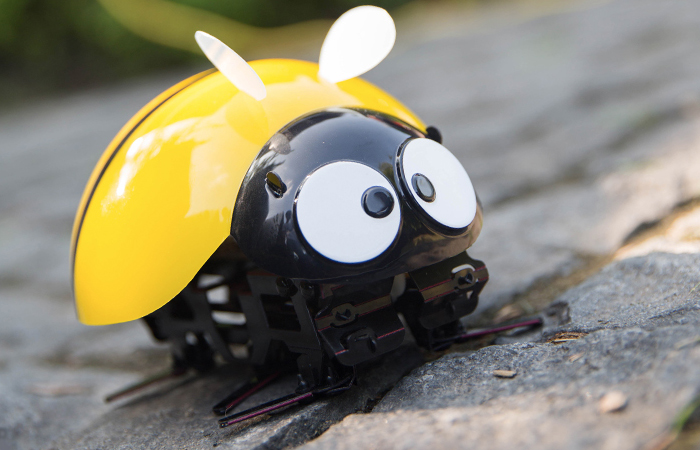 Remote Control Insect Toy, Electronic Pet, RC Ladybug Toy, RC Bee Toy, Christmas toy.