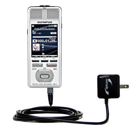 Wall Charger compatible with the Olympus DM-2