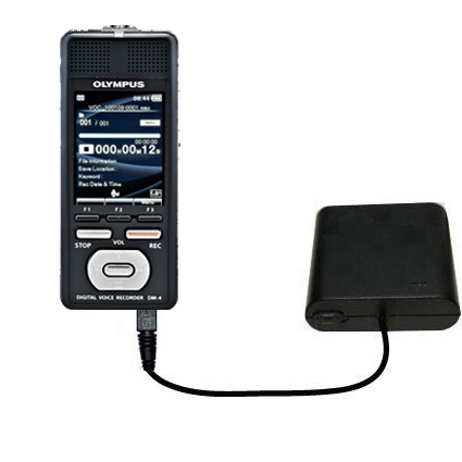 AA Battery Pack Charger compatible with the Olympus DM-4