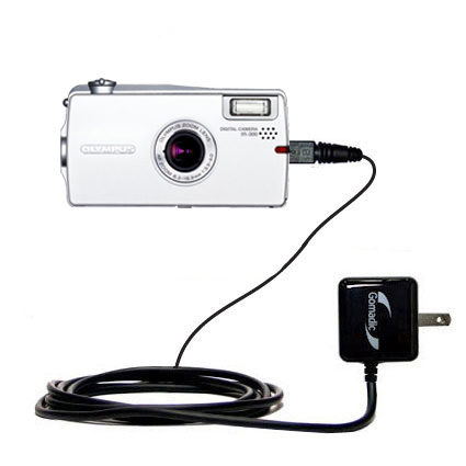 Wall Charger compatible with the Olympus IR-300