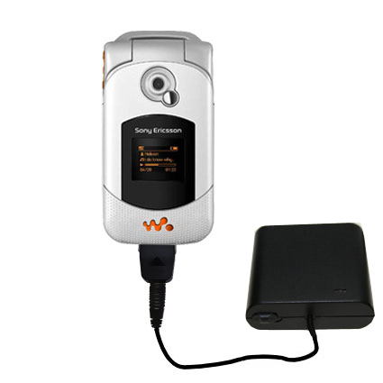 AA Battery Pack Charger compatible with the Sony Ericsson W300i