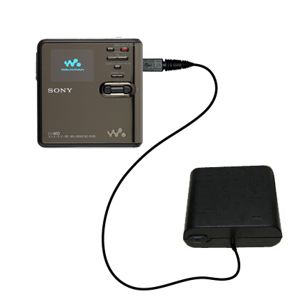 AA Battery Pack Charger compatible with the Sony MD WALKMAN MZ-RH