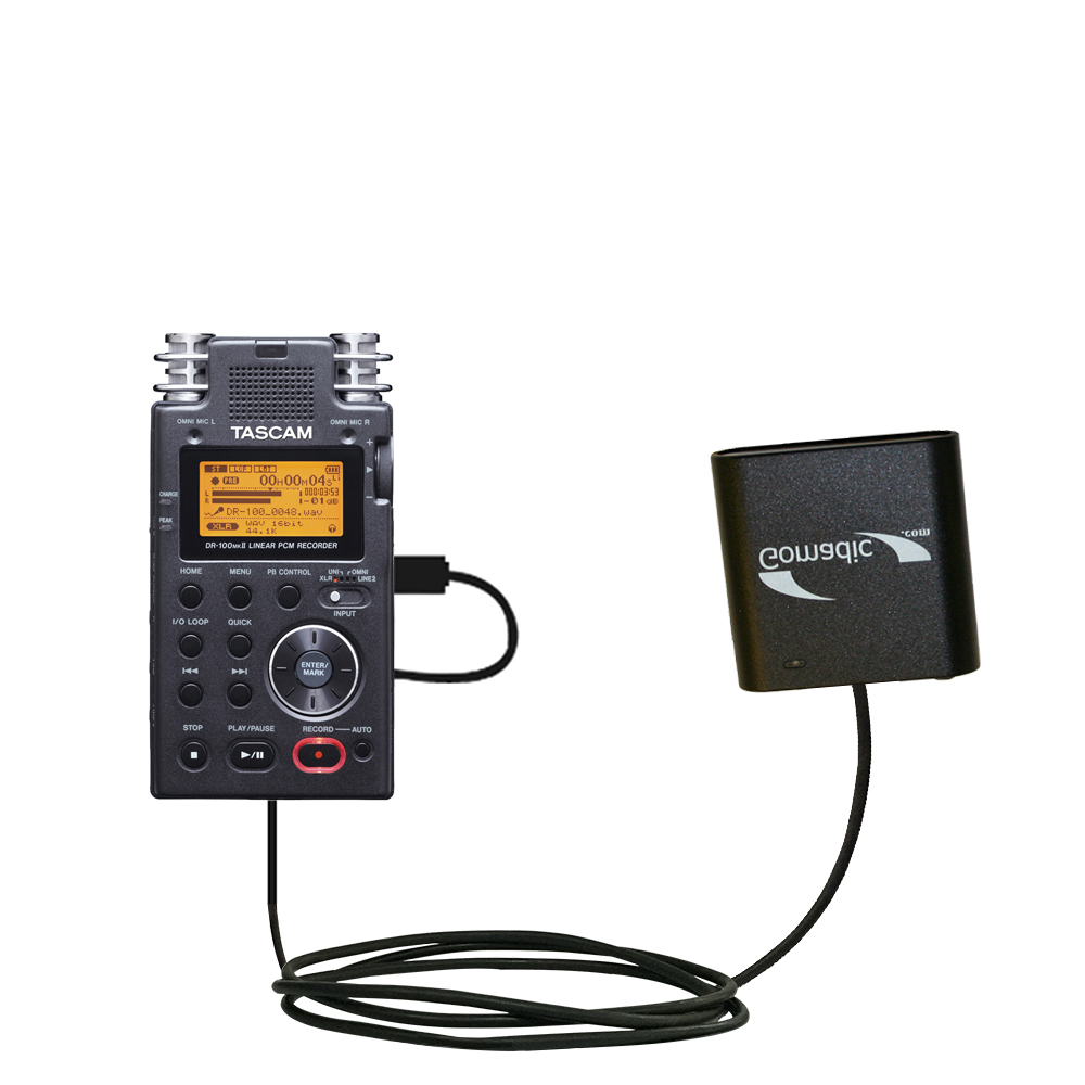 AA Battery Pack Charger compatible with the Tascam DR-100 MKII
