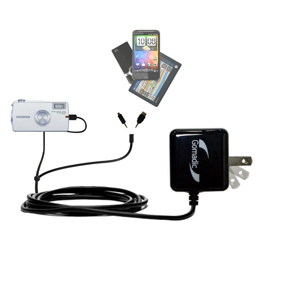 Double Wall Home Charger with tips including compatible with the Olympus IR-300
