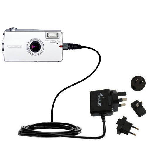 International Wall Charger compatible with the Olympus IR-300
