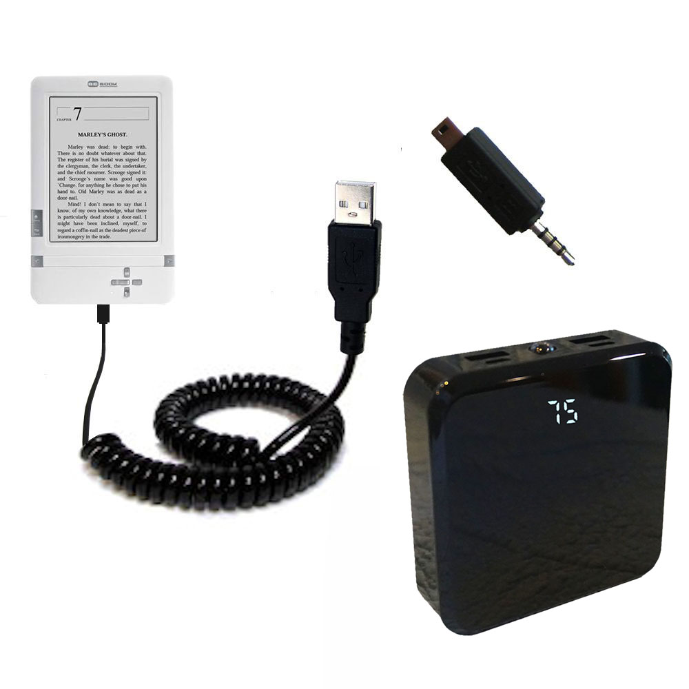 Rechargeable Pack Charger compatible with the BeBook Club