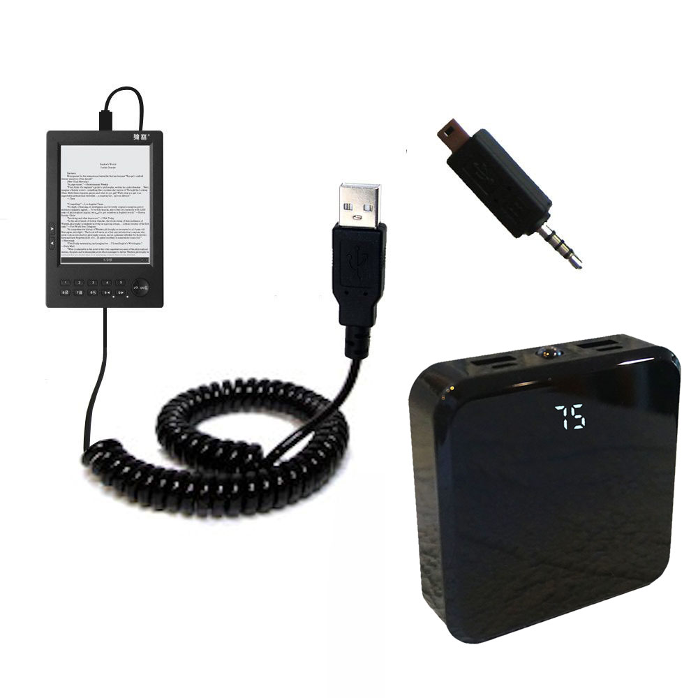 Rechargeable Pack Charger compatible with the BeBook Mini