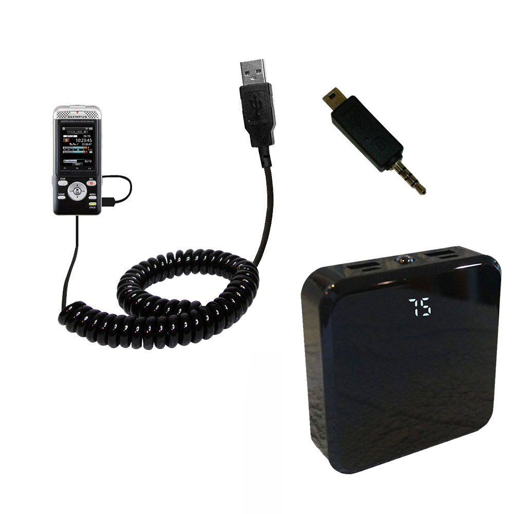 Rechargeable Pack Charger compatible with the Olympus DM-901