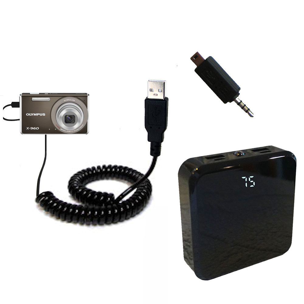 Rechargeable Pack Charger compatible with the Olympus X-960