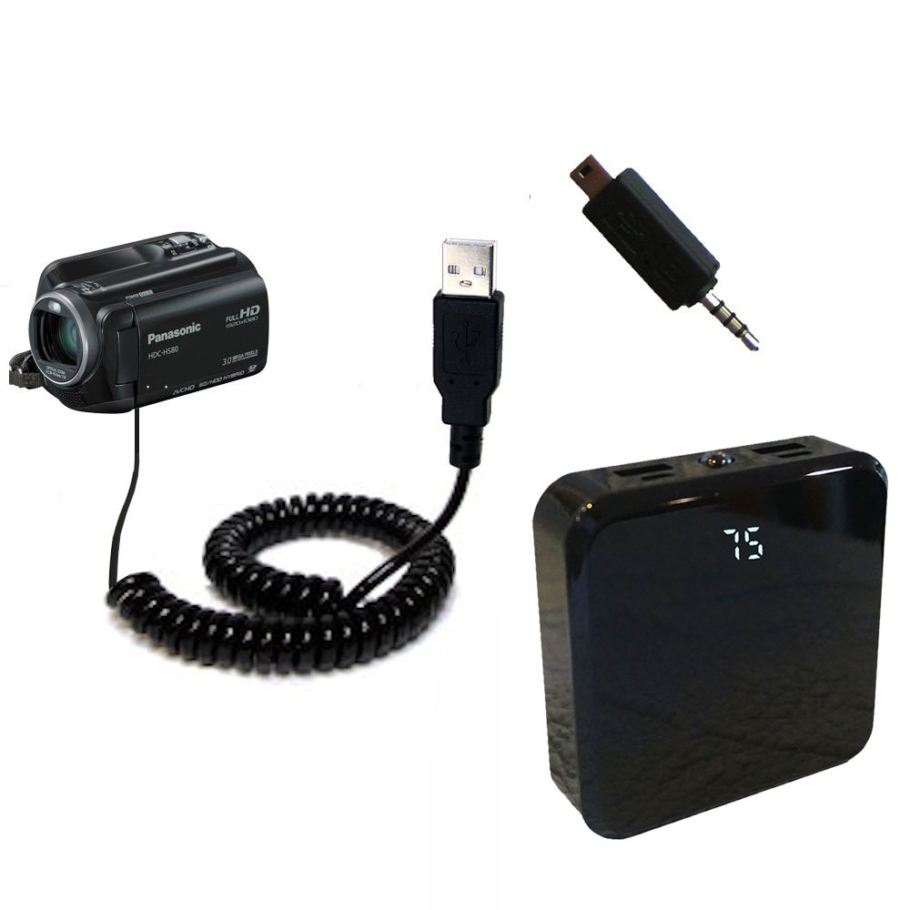 Rechargeable Pack Charger compatible with the Panasonic HDC-SD80 Camcorder