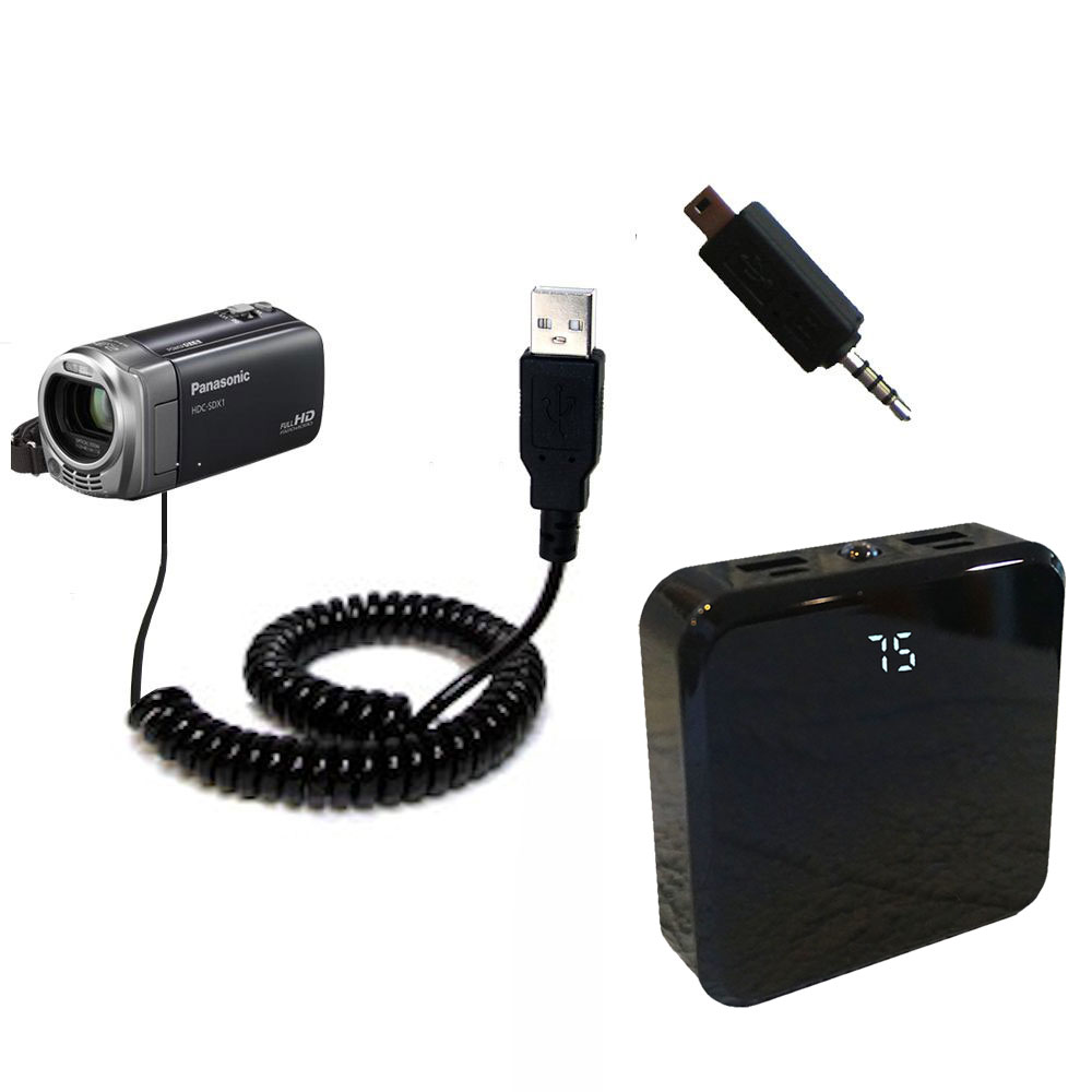 Rechargeable Pack Charger compatible with the Panasonic HDC-SDX1H HD Camcorder