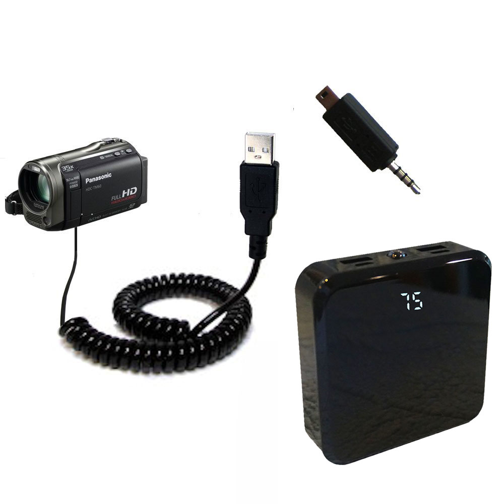 Rechargeable Pack Charger compatible with the Panasonic HDC-TM55 Video Camera