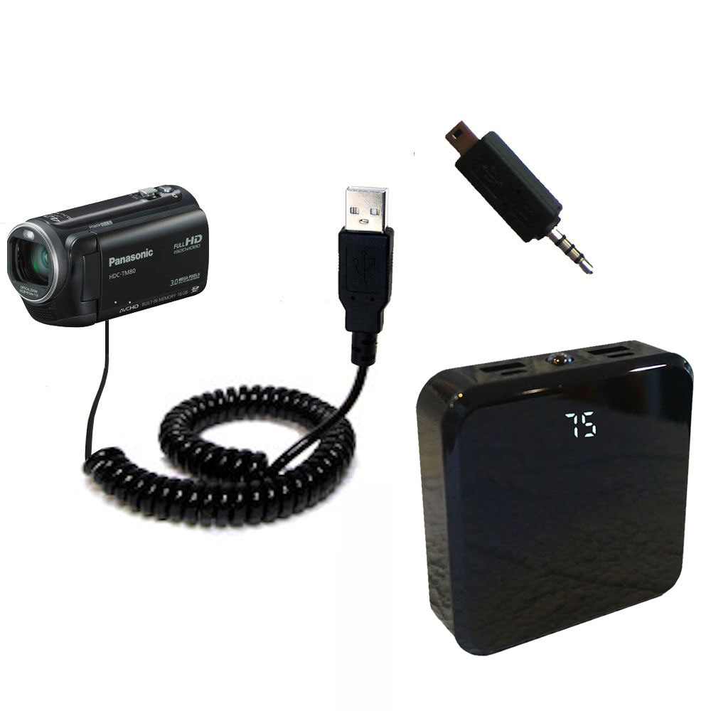 Rechargeable Pack Charger compatible with the Panasonic HDC-TM80 Camcorder