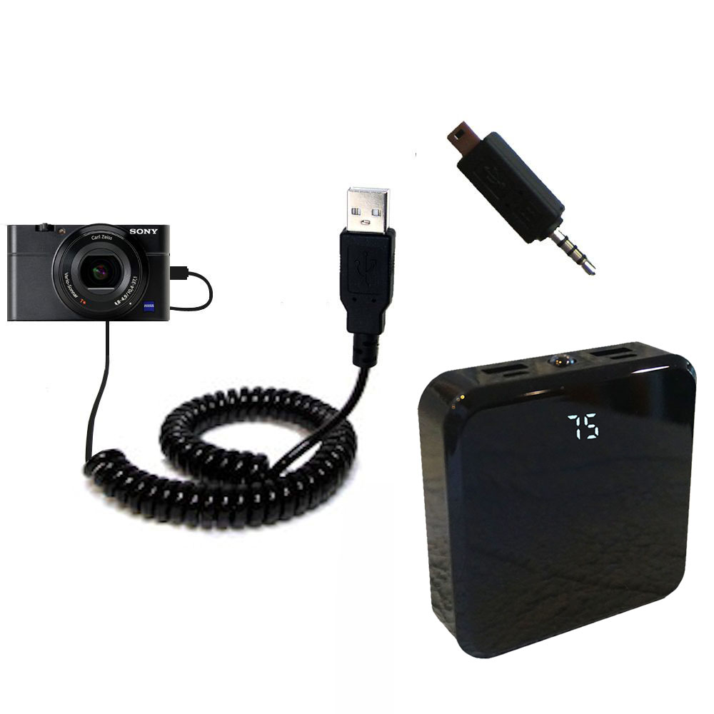 Rechargeable Pack Charger compatible with the Sony Cybershot DSC-RX100