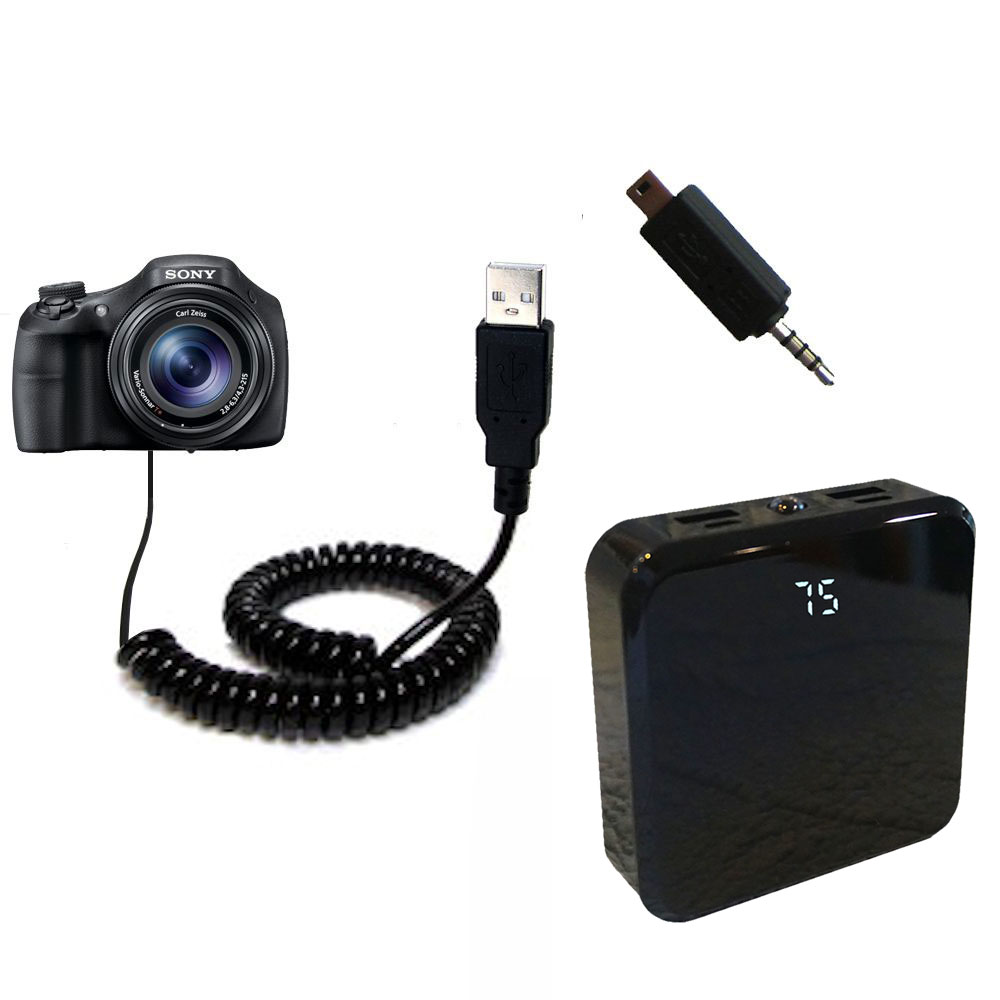 Rechargeable Pack Charger compatible with the Sony DSC-HX300