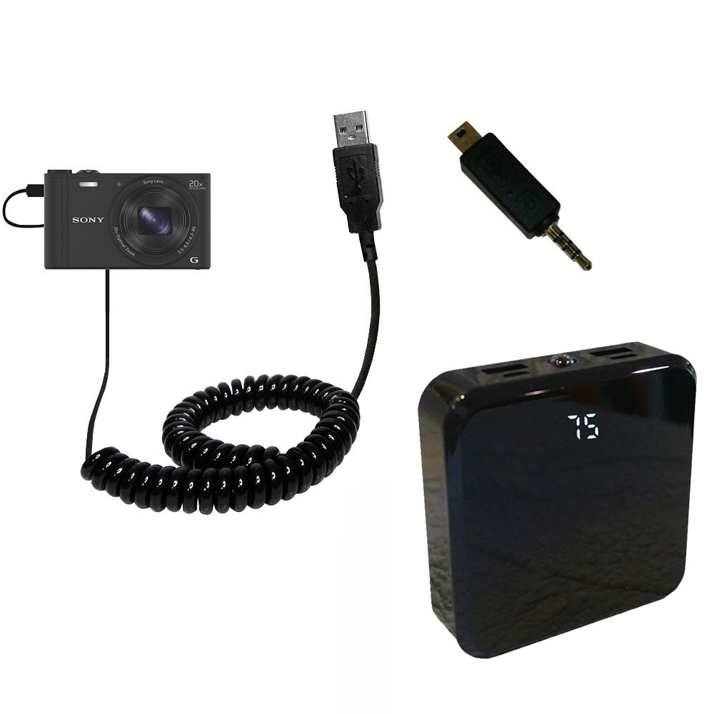 Rechargeable Pack Charger compatible with the Sony DSC-WX350