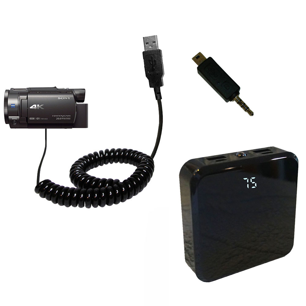 Rechargeable Pack Charger compatible with the Sony FDR-AX33 / FDR-AX30