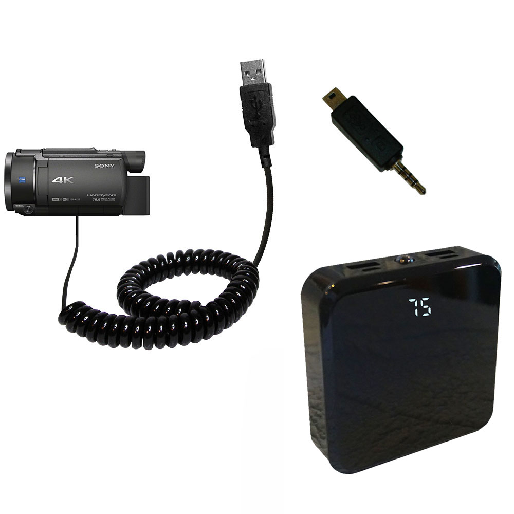 Rechargeable Pack Charger compatible with the Sony FDR-AX53 / FDR-AX50