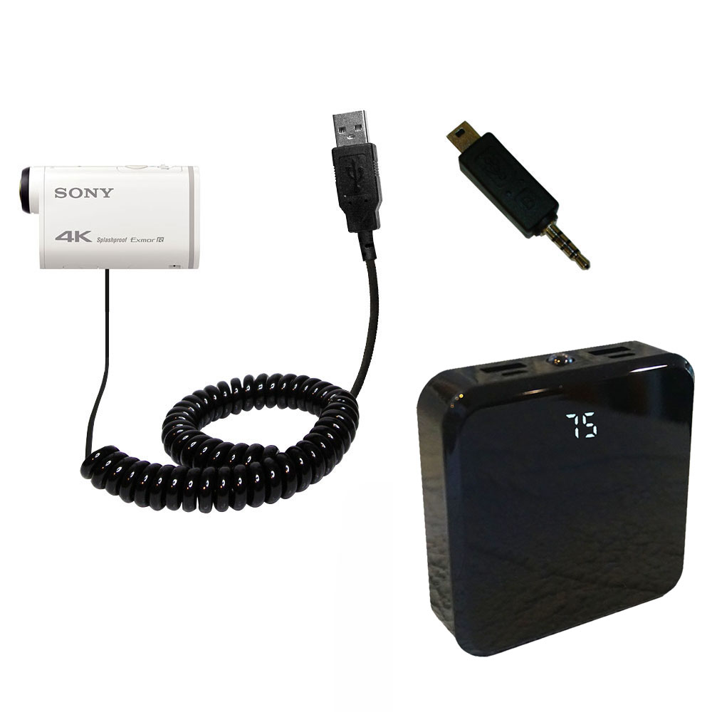Rechargeable Pack Charger compatible with the Sony FDR-X1000