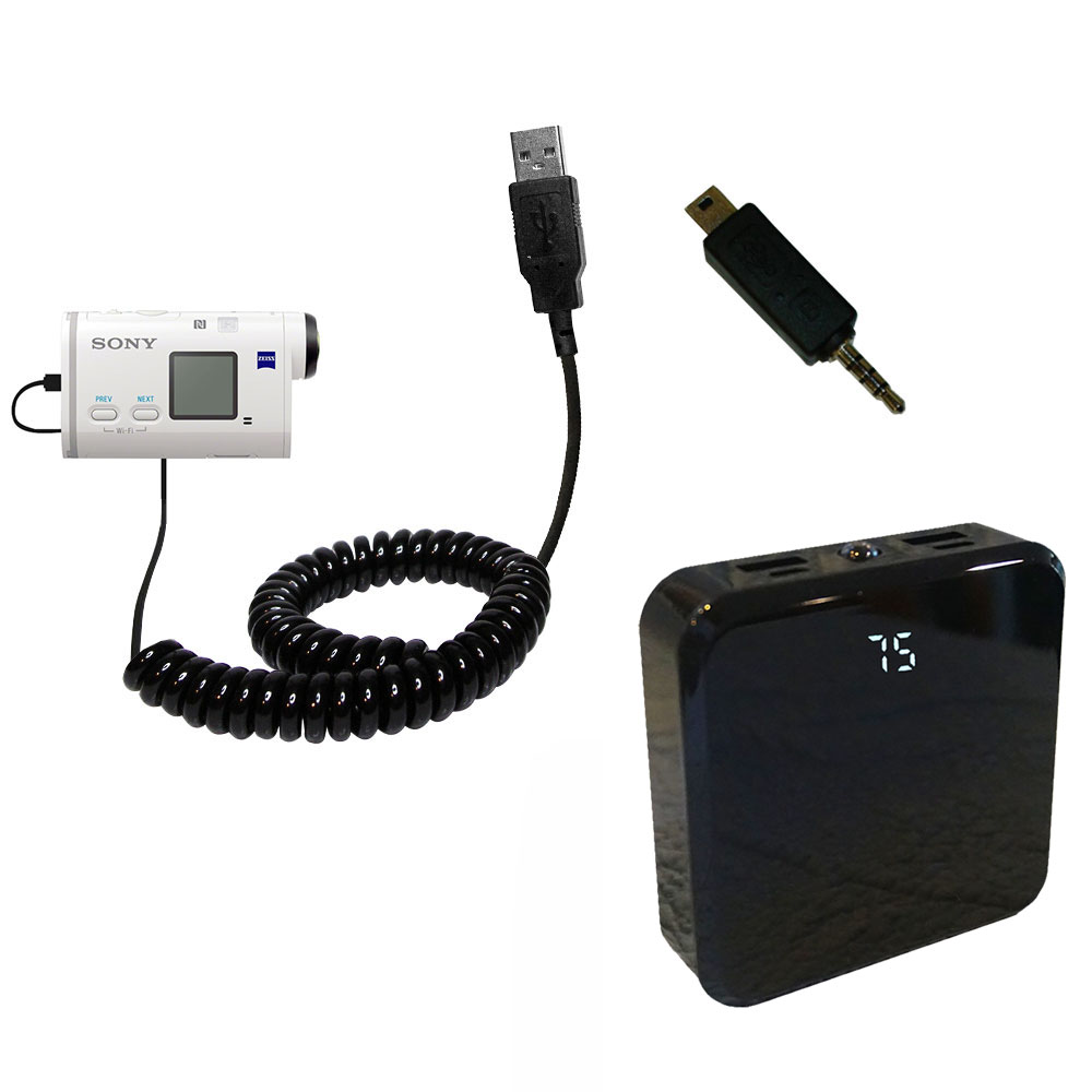 Rechargeable Pack Charger compatible with the Sony FDR-X1000V