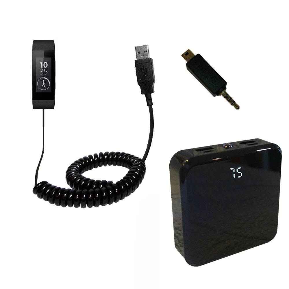 Rechargeable Pack Charger compatible with the Sony SWR10 / SWR30